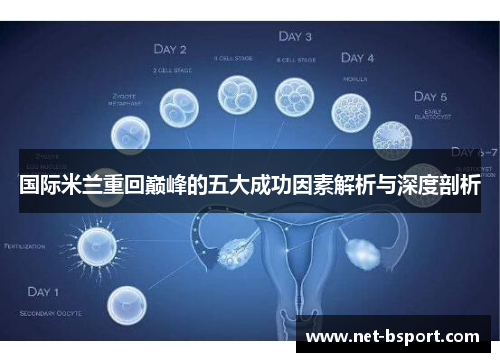 国际米兰重回巅峰的五大成功因素解析与深度剖析