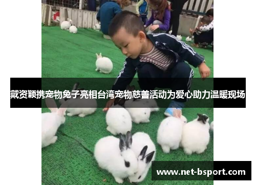 戴资颖携宠物兔子亮相台湾宠物慈善活动为爱心助力温暖现场 戴资颖携宠物兔子亮相台湾宠物慈善活动为爱心助力温暖现场