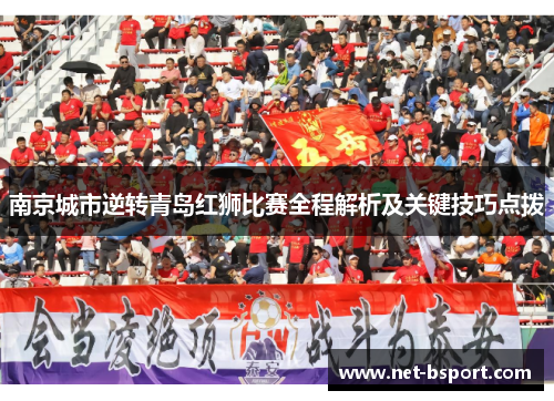 南京城市逆转青岛红狮比赛全程解析及关键技巧点拨