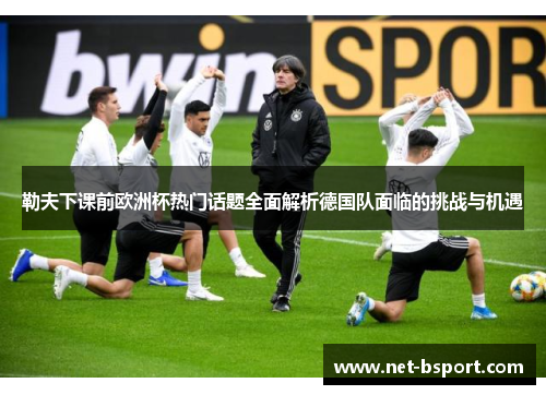 勒夫下课前欧洲杯热门话题全面解析德国队面临的挑战与机遇